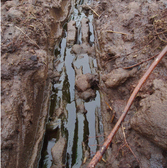 Peat drains