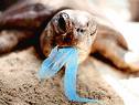 Friends of the Irish Environment - Plastic Bag Levy Update