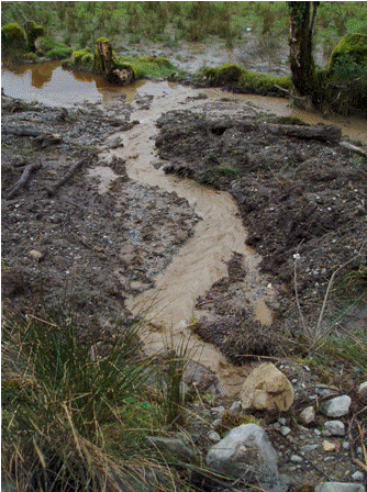 Flooding off the site