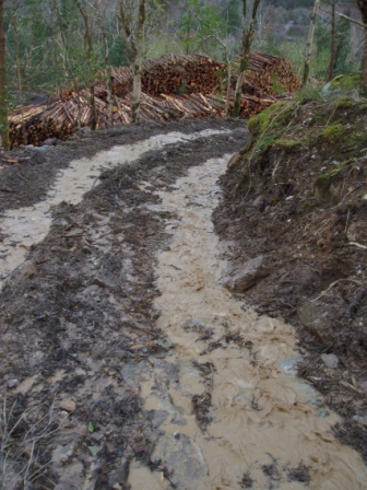 Road or river?