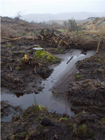 Siltation buildup